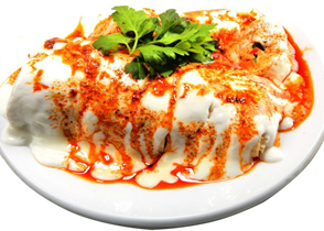 Yoğurtlu Tantuni ( Servis )